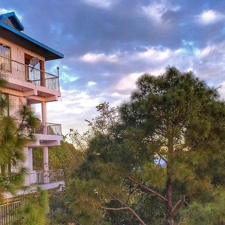 Terrace Retreat Bed and Breakfast Kasauli Exteriör bild