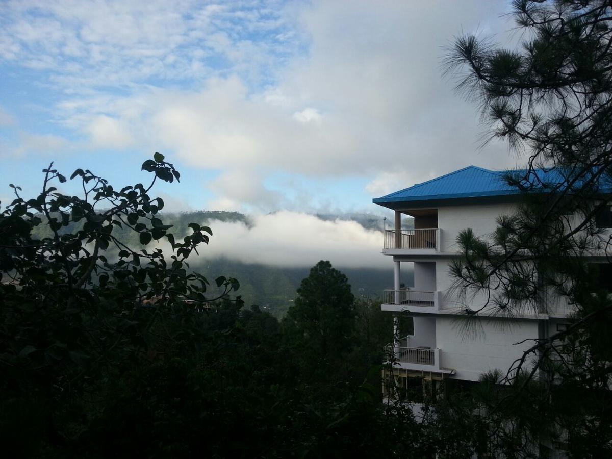 Terrace Retreat Bed and Breakfast Kasauli Exteriör bild